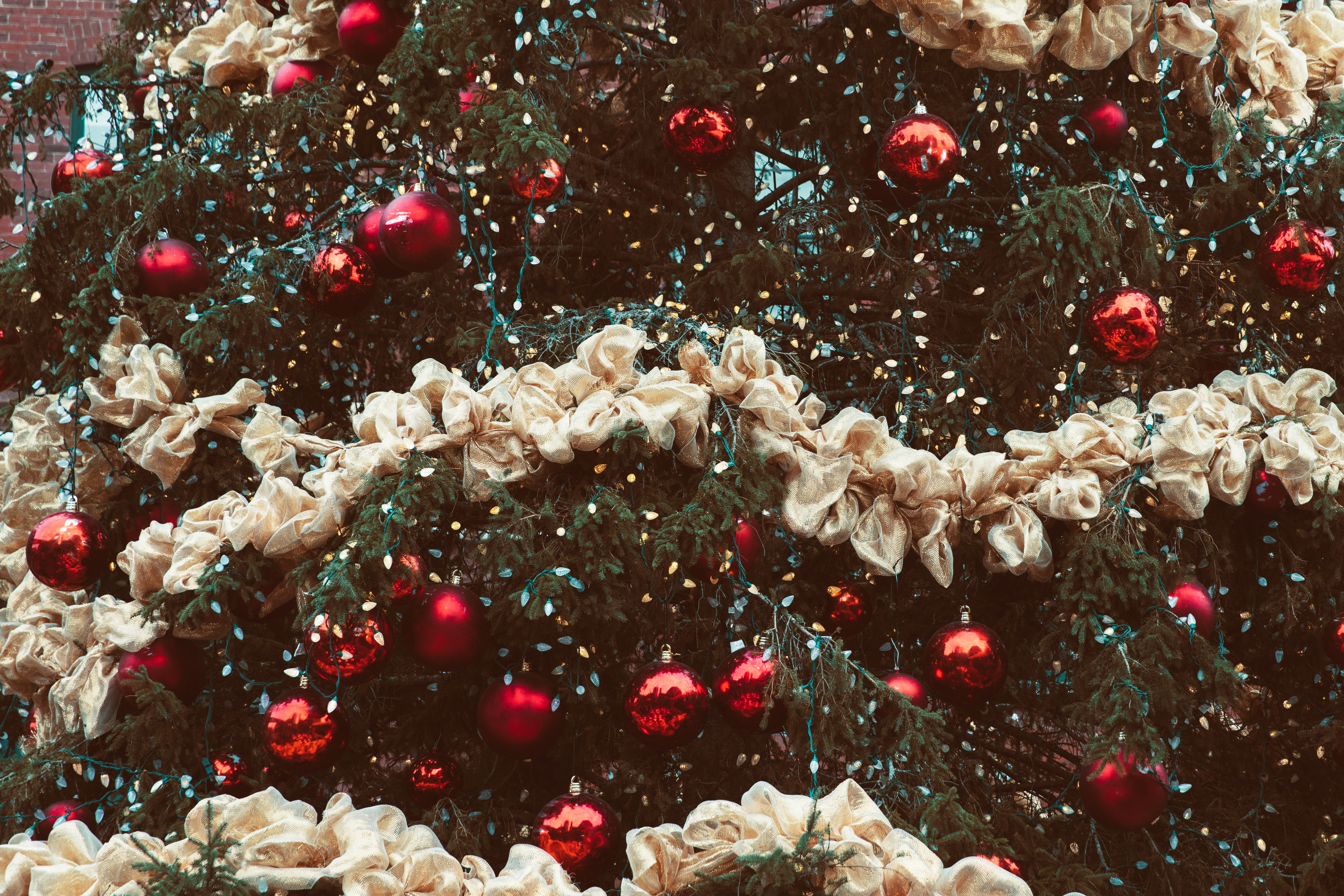 Decorated christmas tree